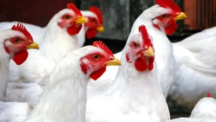 image_870x_664e8f9e447ea