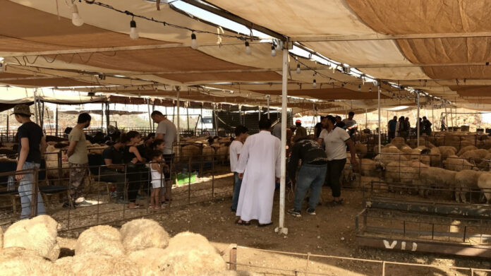 المستهلك تدعو المواطنين للالتزام بالأماكن المحددة لذبح الاضاحي