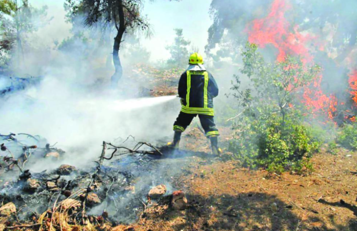 وزير الزراعة : انخفاض الحرائق للسنة الثانية على التوالي