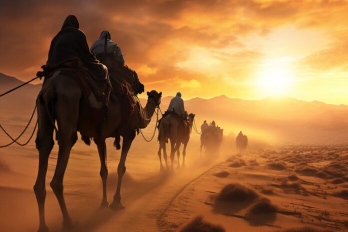 459879_48_1720272644