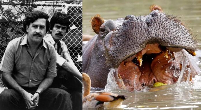 f6ee3e16cab973d6d08146f43fa7feb0