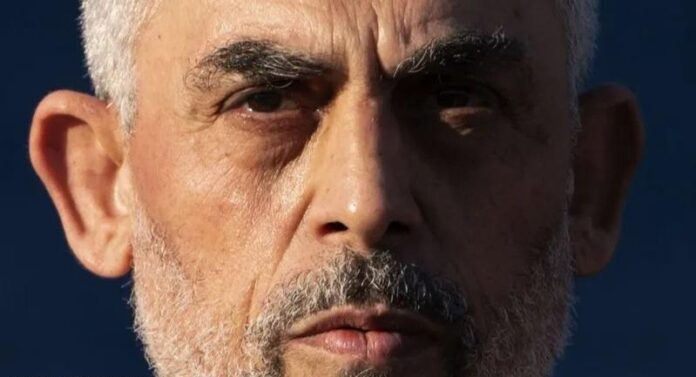 main_image669fca14debd9