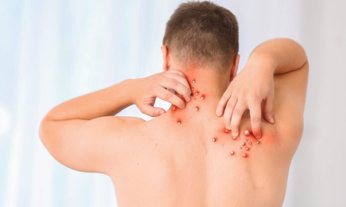 466972_36_1725359351