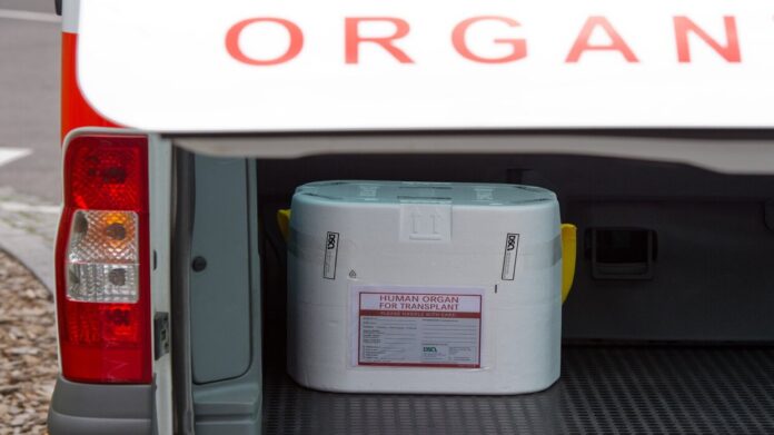 تفاصيل مثيرة .. الصدفة تفضح تنظيم عصابي يتاجر بالاعضاء البشرية في مصر