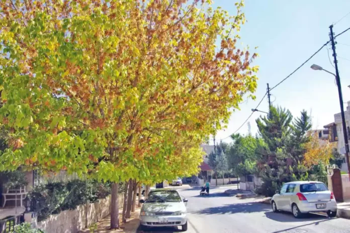 اجواء خريفية معتدلة بالمرتفعات وحارة في باقي المناطق اليوم وغدًا