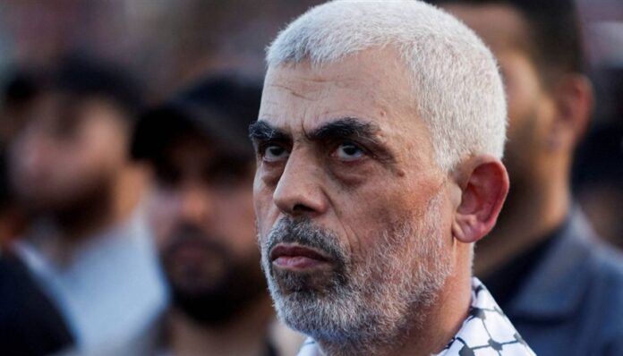 472801_48_1729576247