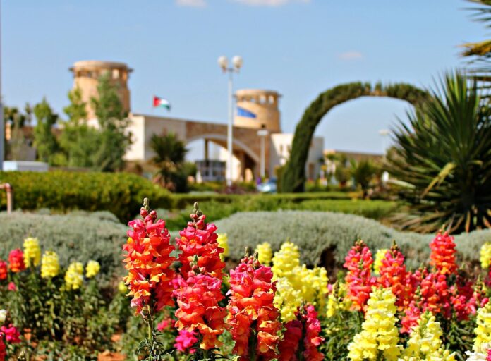 مجلس الوزراء يقر نظام صندوق استثمار جامعة العلوم والتكنولوجيا