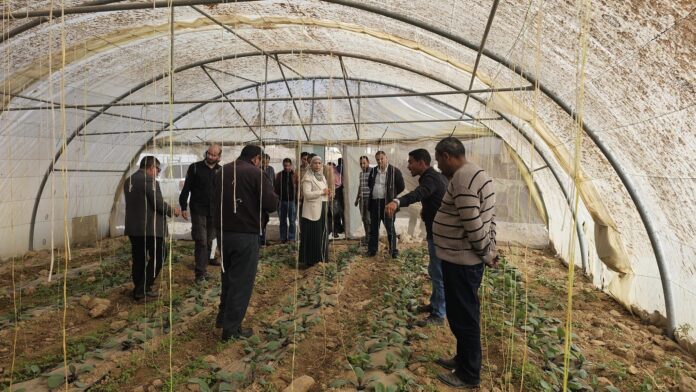 يوم حقلي في جمعية شباب ذيبان للتنمية الزراعية وتربية الاسماك