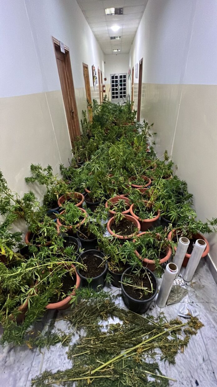 52f079736cf79366d21827b002a3b7ea