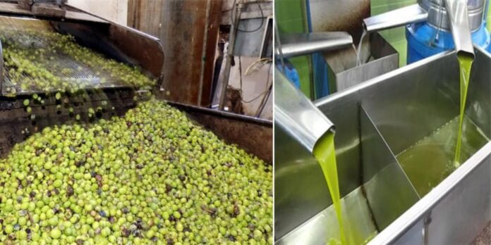 المواصفات تخصص رقم لاستقبال الشكاوى الخاصة بـ