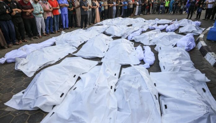 تقديم 10 الاف معلومة للجنائية الدولية عن الابادة الجماعية في فلسطين