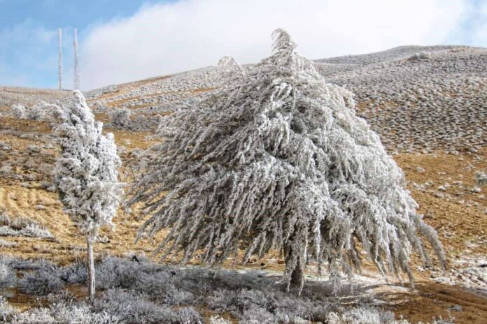 الشوبك والجفر تسجلان درجات حرارة دون الصفر !!
