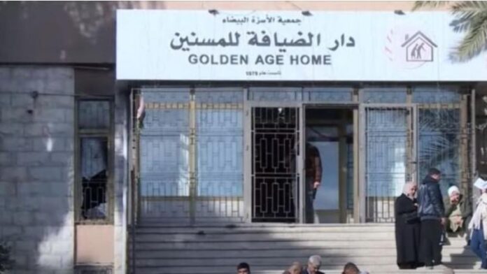 479374_36_1734250081