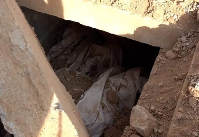 479549_36_1734341598