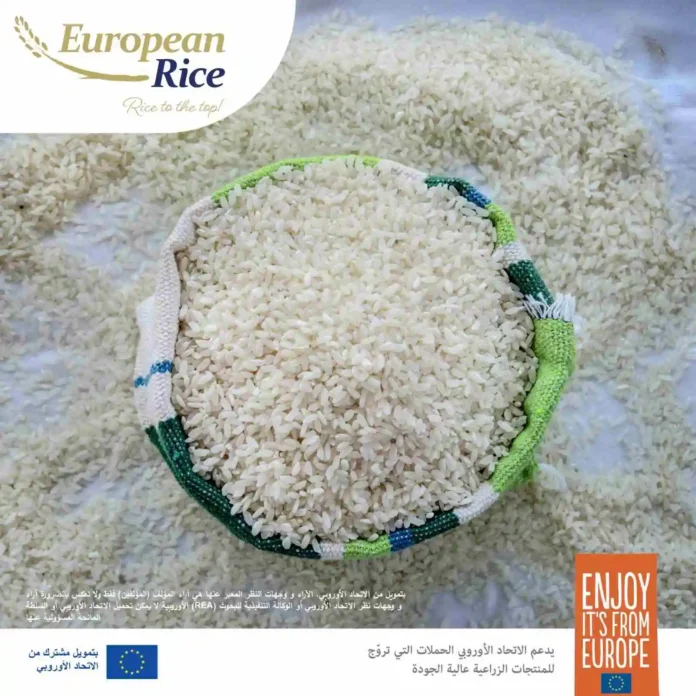 الارز-الاوروربي