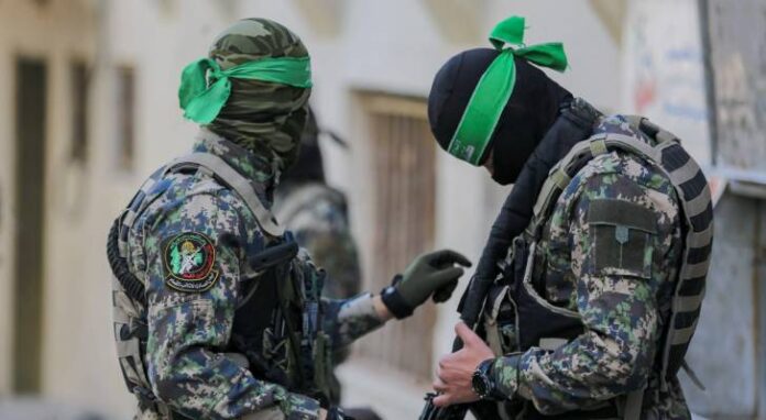 491271_59_1743064562