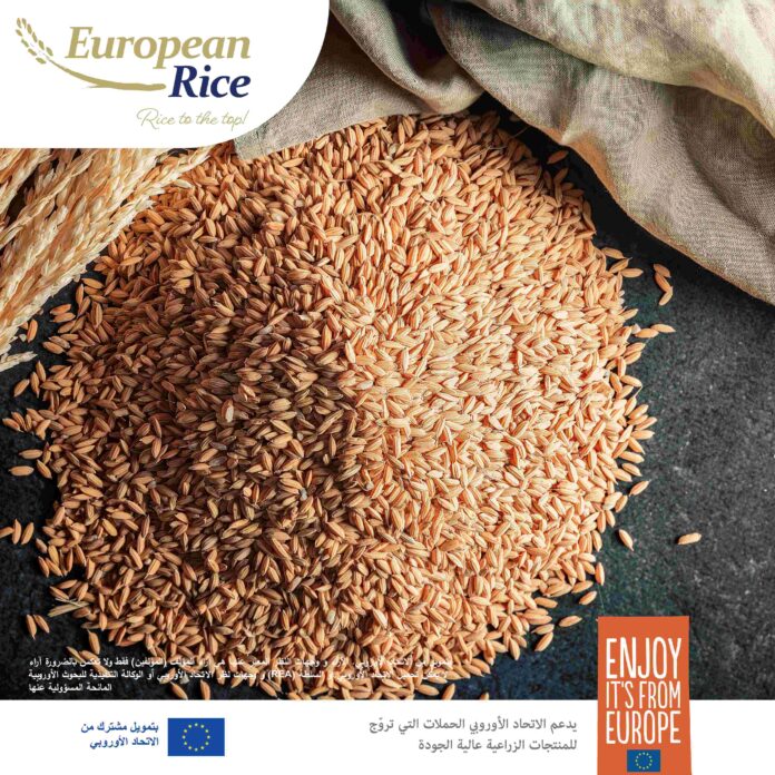 الأرز الأوروبي من اليونان: خيار صحي ومتوازن