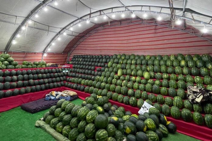 بدء استقبال طلبات تصاريح بيع البطيخ والشمام الكترونيا