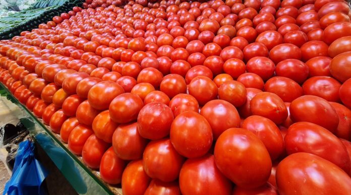 اسعار الخضار والفواكه اليوم الاربعاء