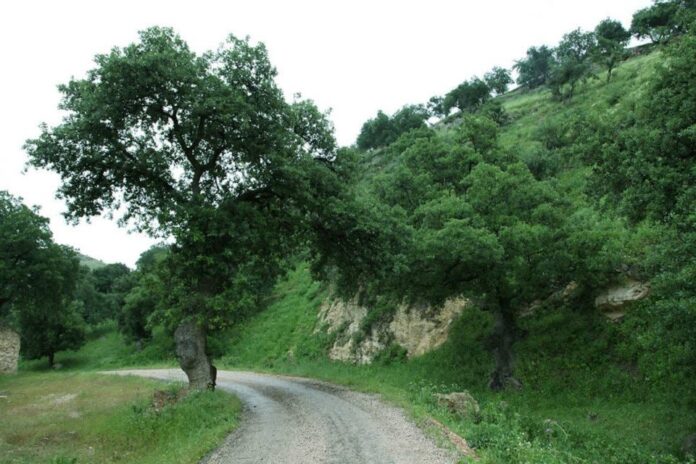 طقس معتدل الحرارة اليوم و كتلة هوائية حارة  غدا طقس معتدل الحرارة اليوم و كتلة هوائية حارة غدا