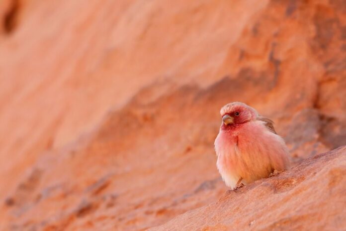 طقس معتدل الحرارة  اليوم وغدًا وحار الأربعاء والخميس طقس معتدل الحرارة اليوم وغدًا وحار الأربعاء والخميس