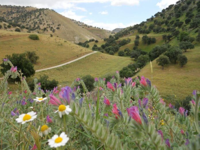 ارتفاع تدريجي على درجات الحرارة وأجواء معتدلة حتى الجمعة