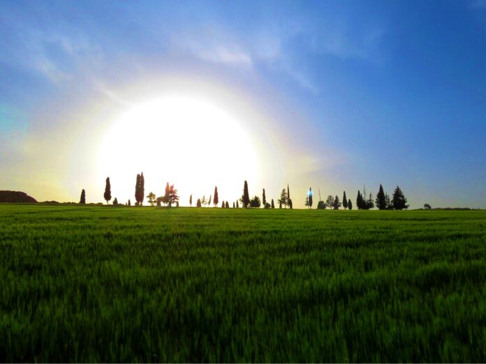 طقس معتدل في اغلب المناطق اليوم وغدًا وكتلة هوائية حارة الجمعة طقس معتدل في اغلب المناطق اليوم وغدًا وكتلة هوائية حارة الجمعة