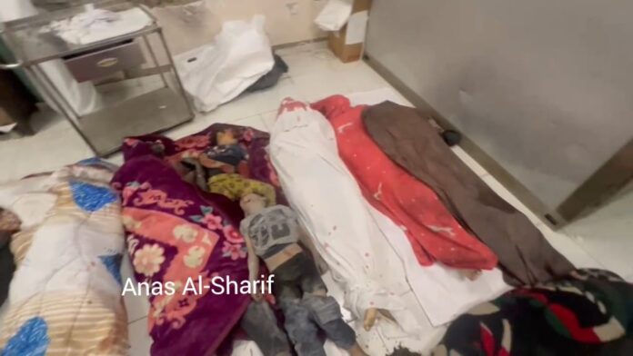 50 شهيدًا بمجازر إسرائيلية دامية في مخيم جباليا 50 شهيدًا بمجازر إسرائيلية دامية في مخيم جباليا