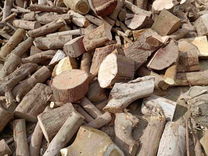 ضبط 4 أطنان من الحطب في جرش