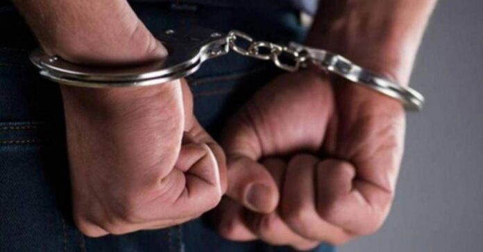 ضبط مطلوب بتهمة الاعتداء على الثروة الحرجية في عجلون