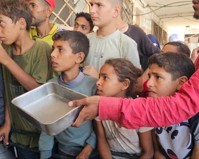 الأغذية العالمي: الناس بغزة يموتون لمجرد بحثهم عن الطعامالأغذية العالمي: الناس بغزة يموتون لمجرد بحثهم عن الطعام الأغذية العالمي: الناس بغزة يموتون لمجرد بحثهم عن الطعام