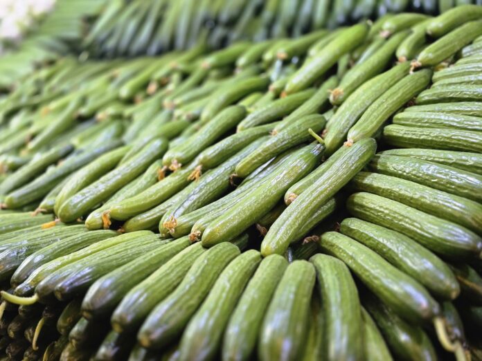 اسعار الخضار والفواكه في السوق المركزي