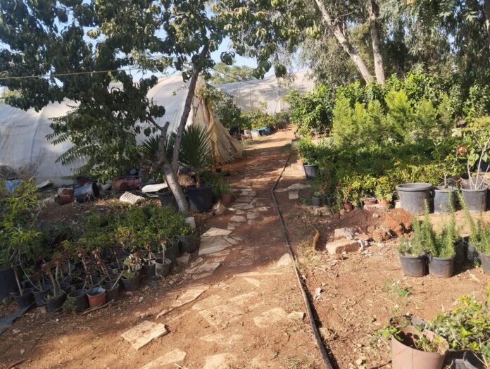 المياه: ضبط اعتداءات جديدة في منطقة عين الباشا (صور)