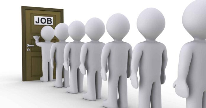 معدل البطالة بين الذكور ينخفض بمقدار 0.8 نقطة مئوية