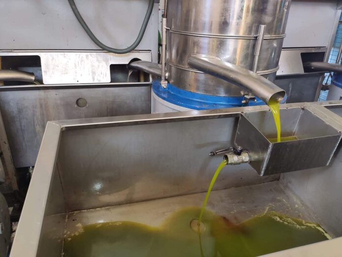 الغذاء والدواء تبدأ حملات رقابية مكثفة لموسم زيت الزيتون الغذاء والدواء تبدأ حملات رقابية مكثفة لموسم زيت الزيتون