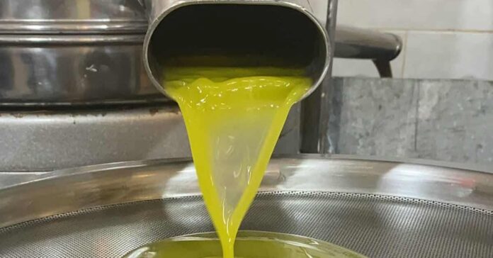 كم يبلغ سعر لتر زيت الزيتون المستورد ؟