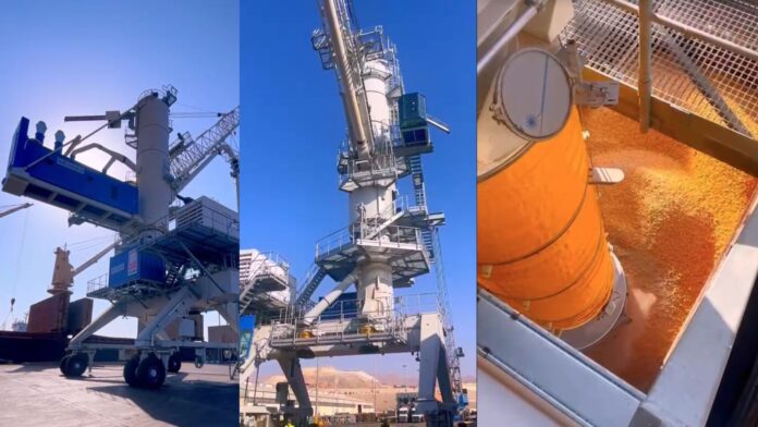 العقبة : ادخال مفرغات حبوب الى الخدمة في الموائئ