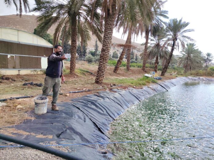 ارتفاع اسعار المنتجين الزراعيين بنسبة 6.9 بالمئة