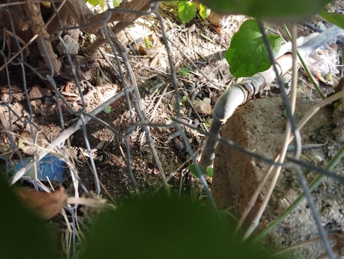 ضبط اعتداءات على خط رئيسي قطر 4 انش في الاغوار الشمالية - صور وفيديو