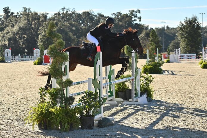الفارسة زينة فطاير تحقق مراكز متقدمة في بطولة قفز الحواجز الدولية - صور وفيديو