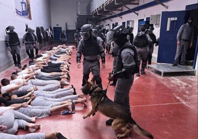 هذا ما يفعله الاحتلال بالاسرى .. اعتداءات جنسية وتجويع ممنهج - تقرير