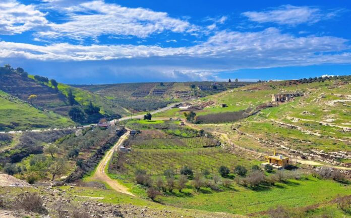 ربيع الأردن 2026 يسرق القلوب… ومؤثرون قطريون: كأنها قطعة من الجنة