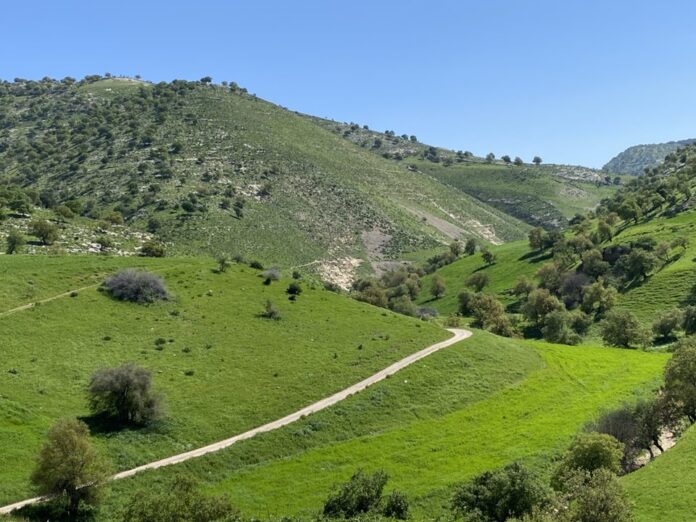 طقس لطيف اليوم ودافئ حتى نهاية الأسبوع