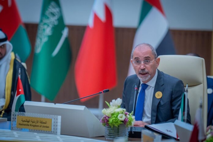 الصفدي وفهمي يبحثان سبل تعزيز العمل العربي المشترك